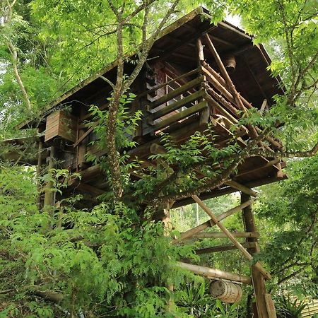 Lai Home Country Cottage B&B Meishan Exterior foto
